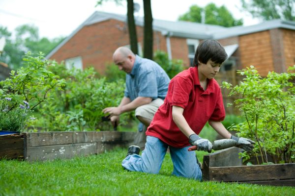Gardening Workshop